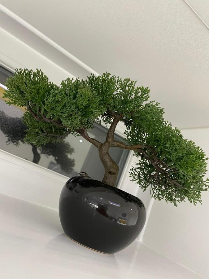 Balco Sherwood Studio Nottingham Ngoại thất bức ảnh